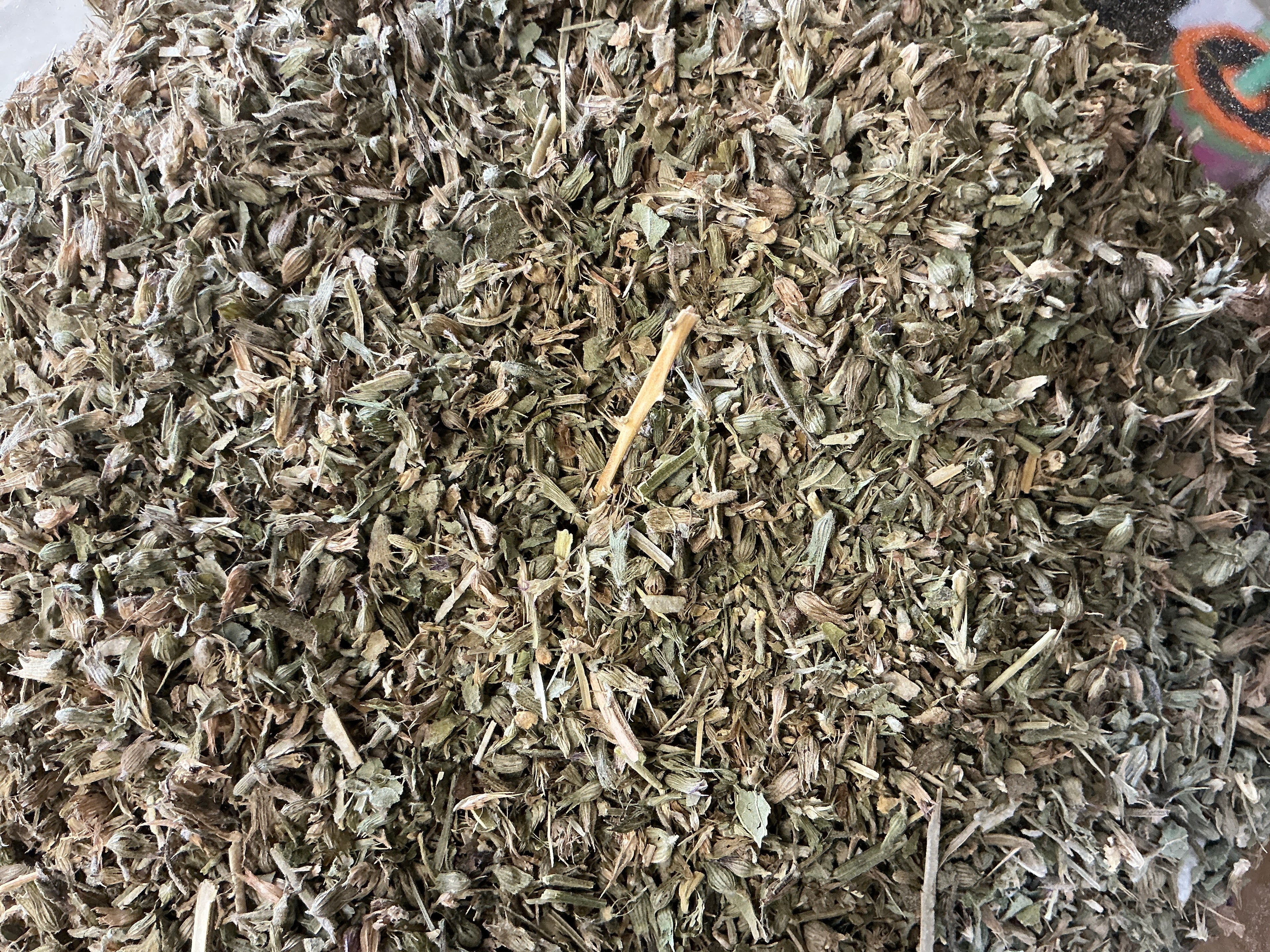 Catnip Herb