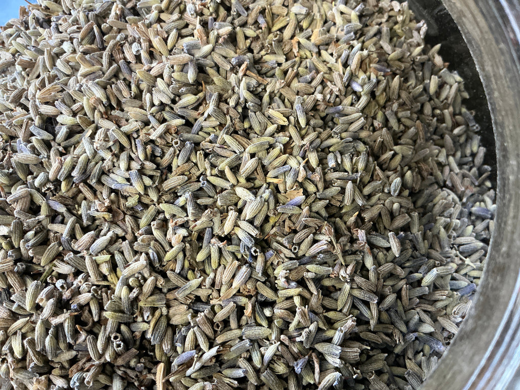 Lavender, Extra Blue Buds
