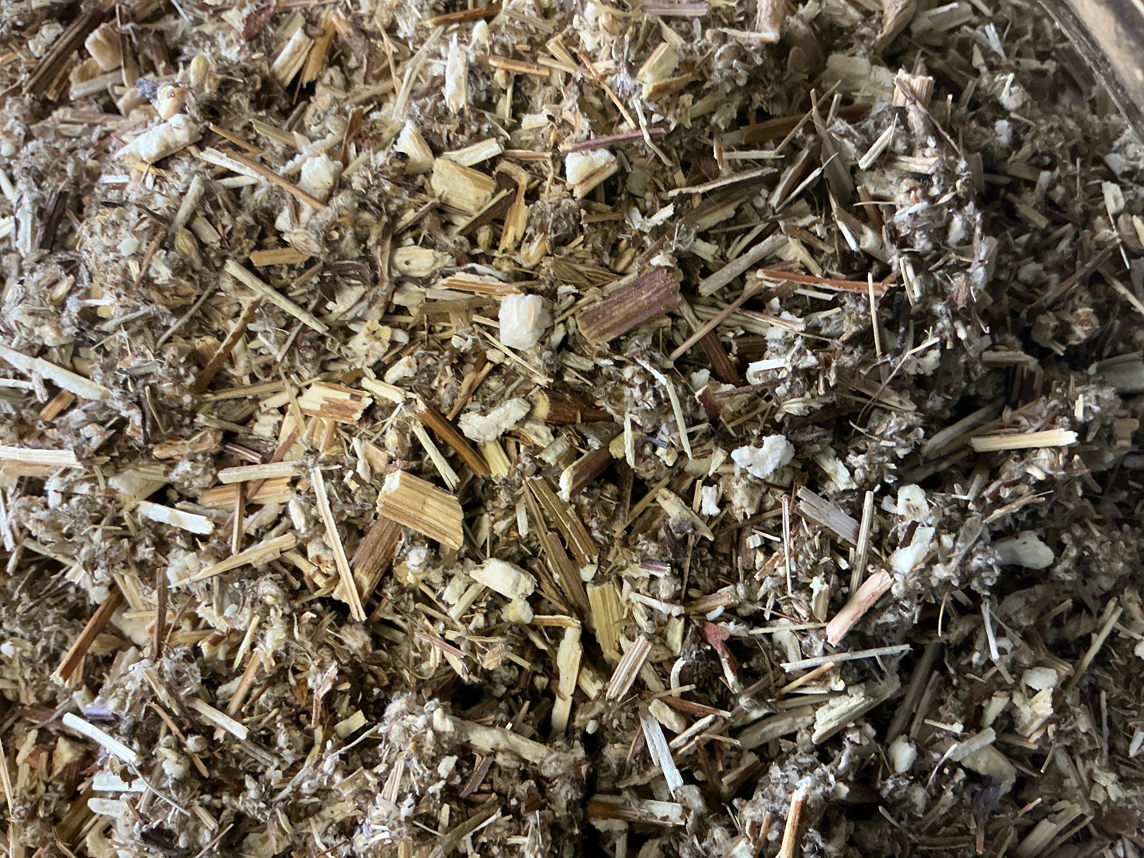 Mugwort
