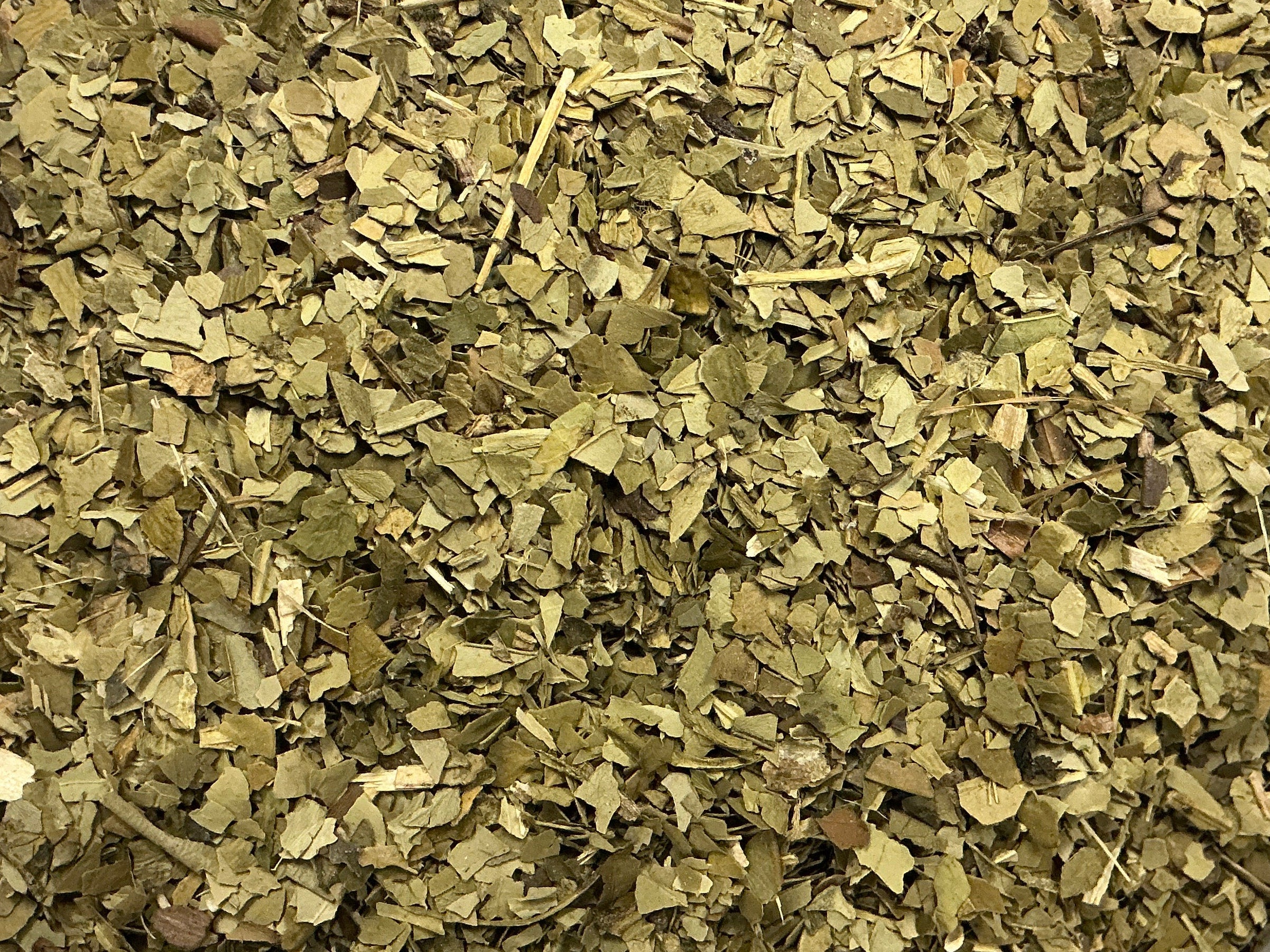 Yerba Mate
