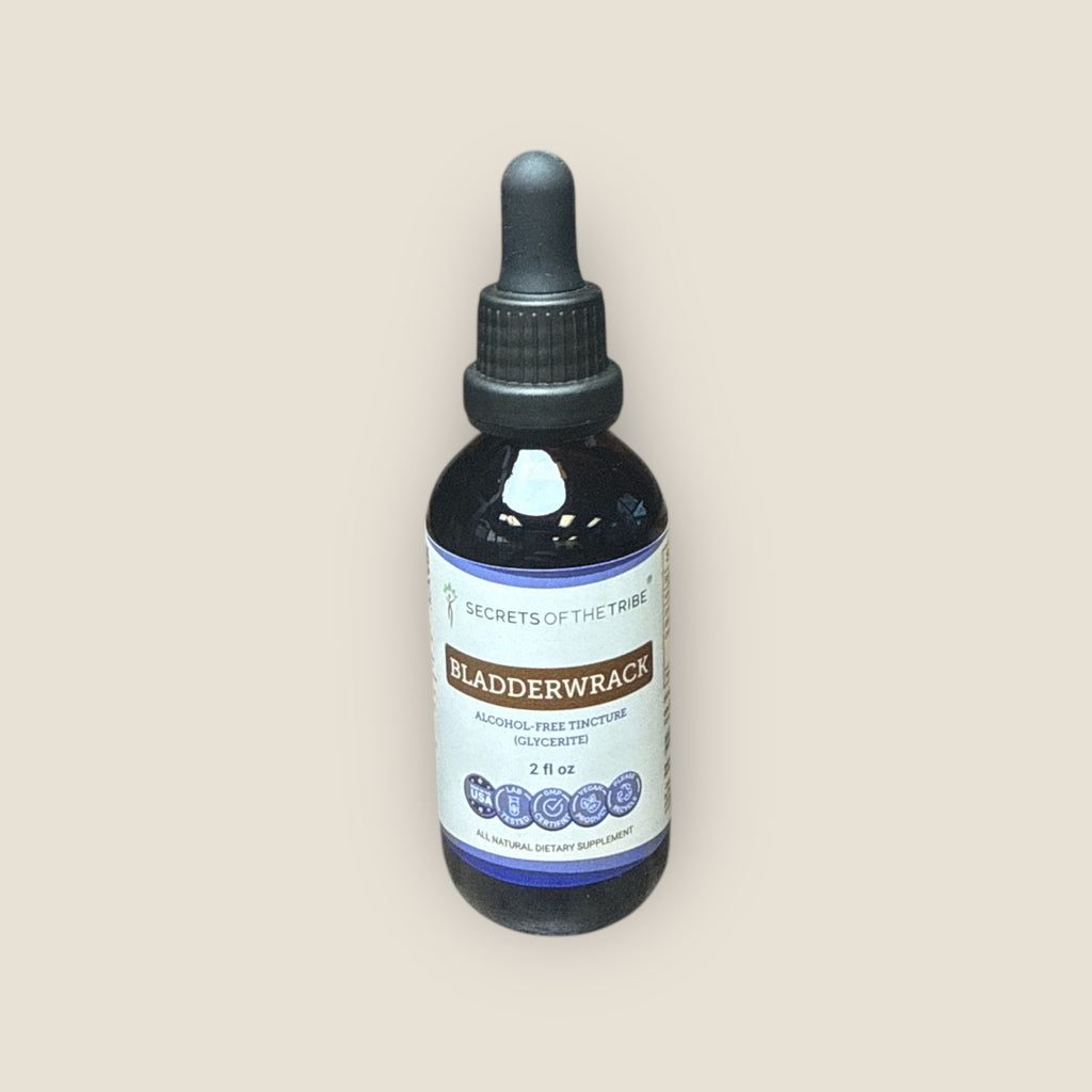 Bladderwrack Tincture - 2 oz
