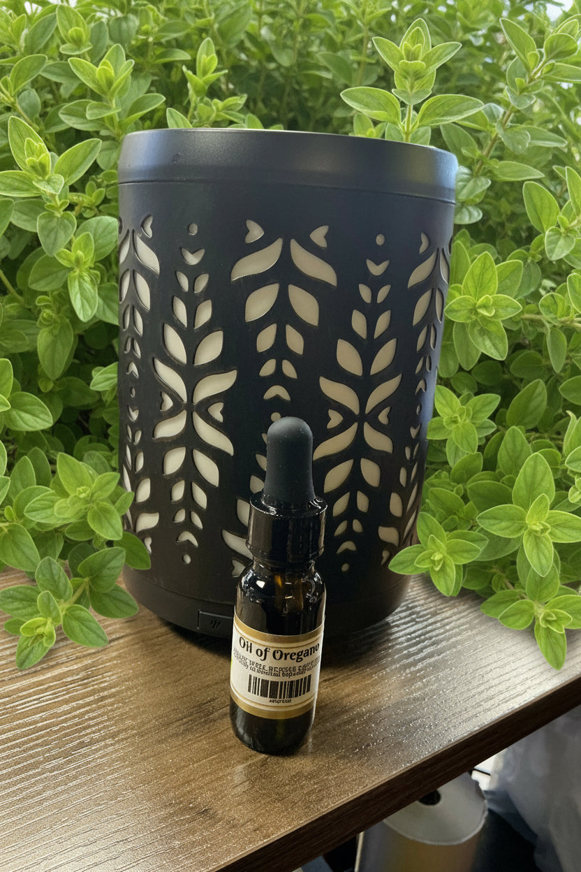 Organic Oil of Oregano Infusion – High-Carvacrol Extract 0.5 oz