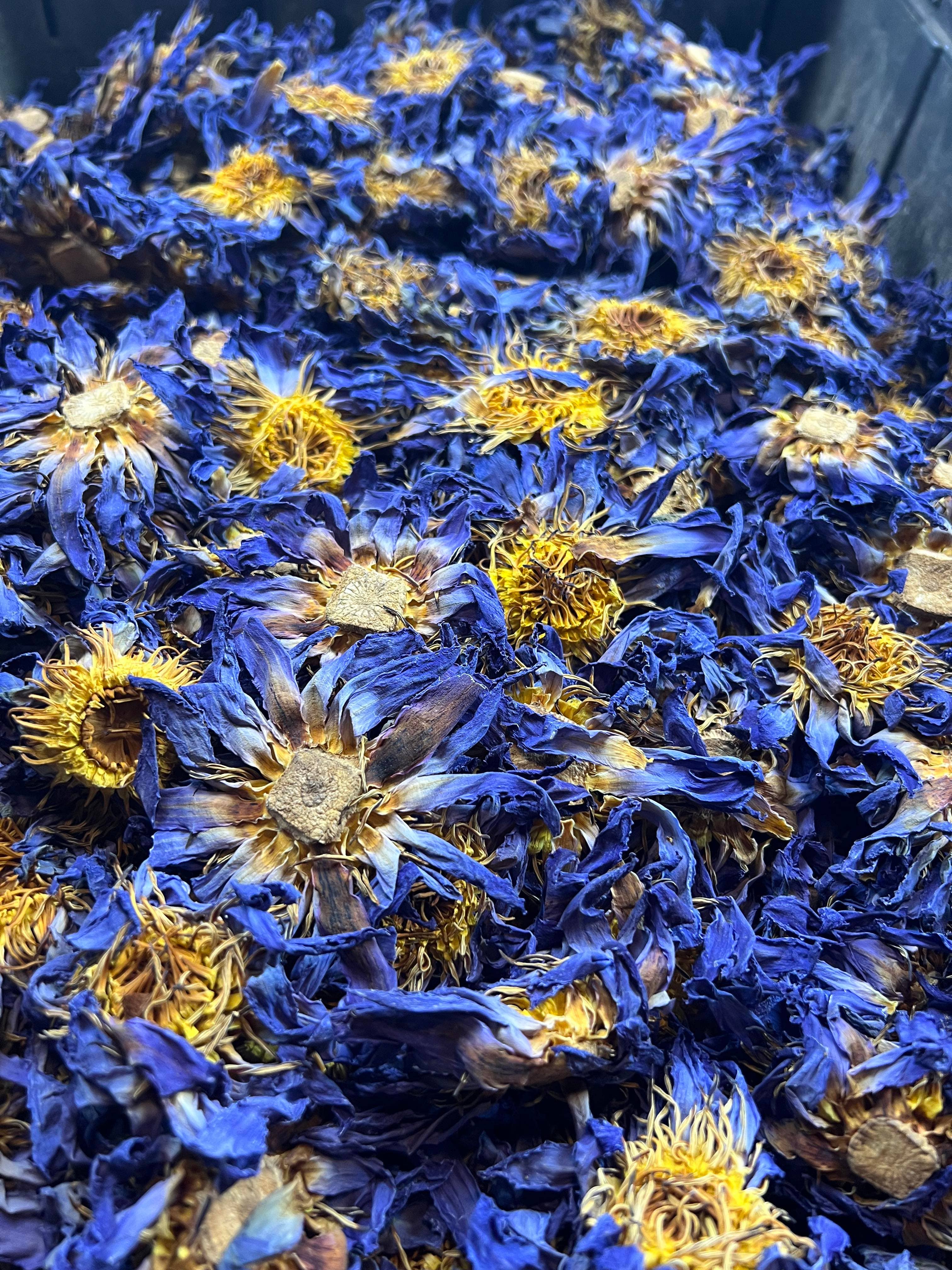 Blue Lotus Whole Flower