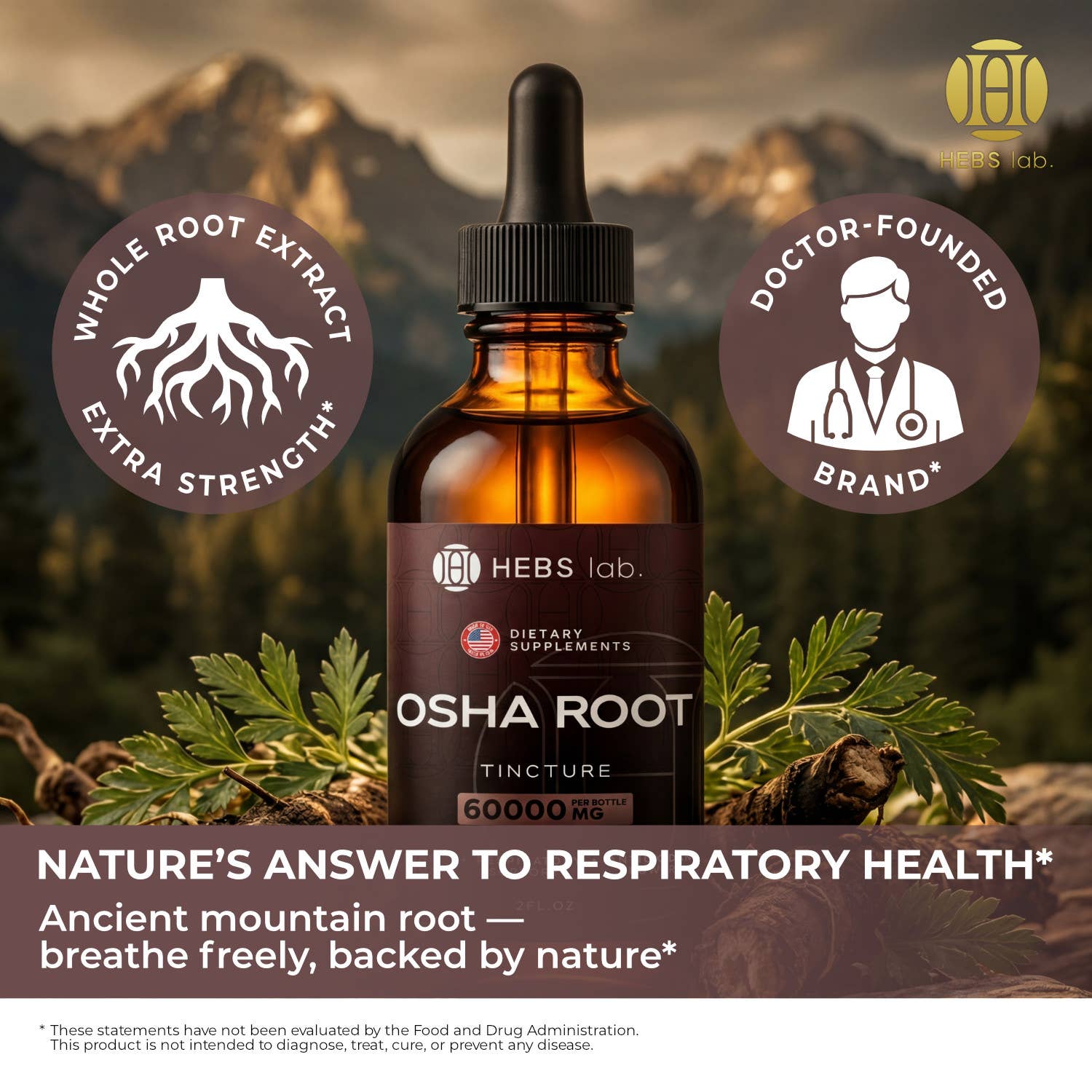 Osha Root Tincture – Lung Detox & Immune Support