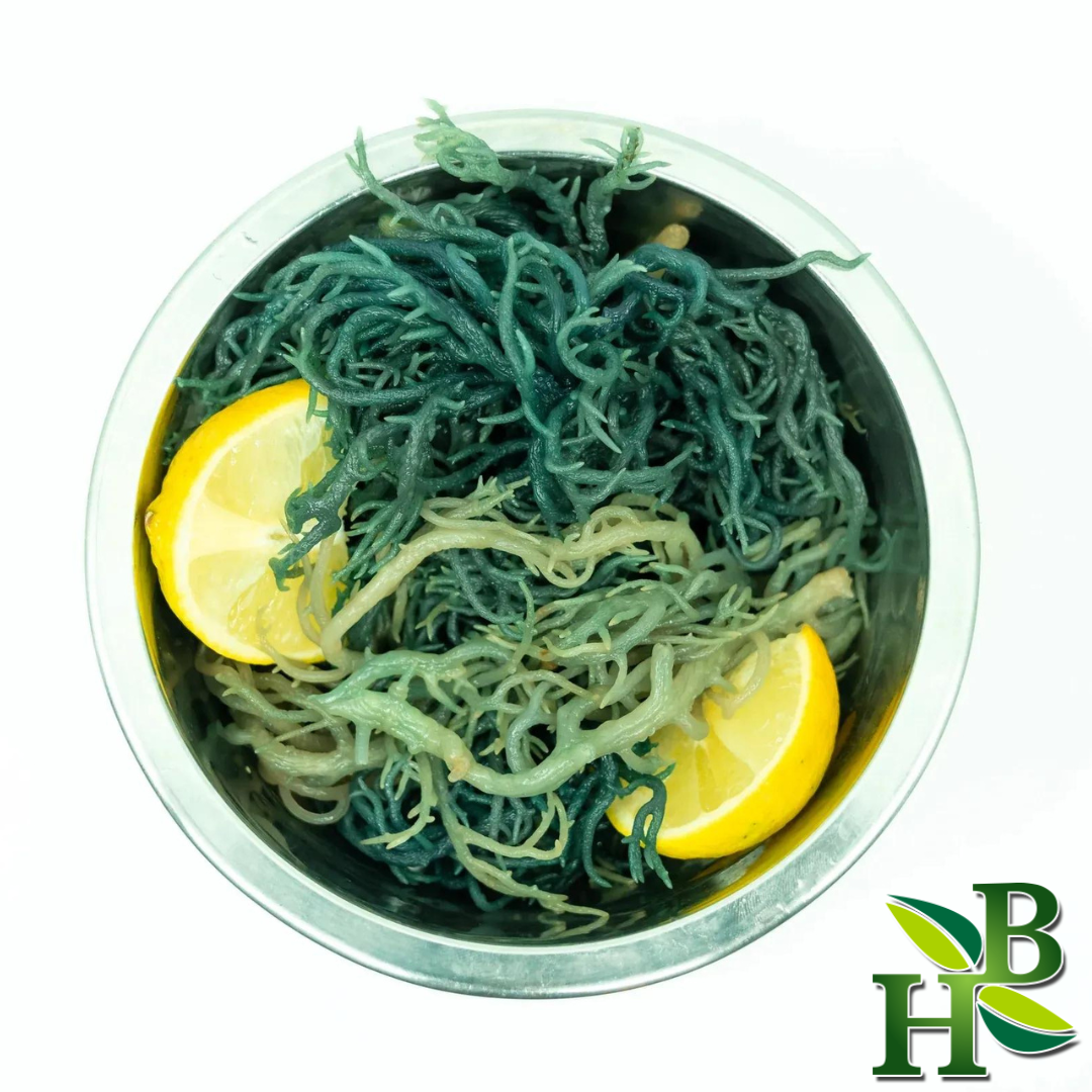 Green “Irish” Sea Moss - 4oz -Makes 20oz of Gel - Organic - St Lucia